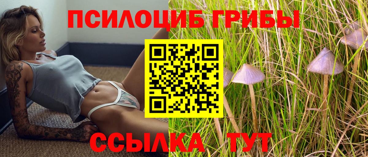 Псилоцибиновые грибы Magic Shrooms  Вход с VPN  Вологда 