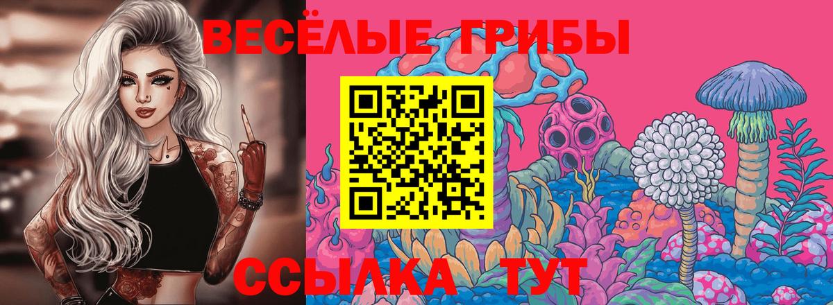 Псилоцибиновые грибы Magic Shrooms Вологда