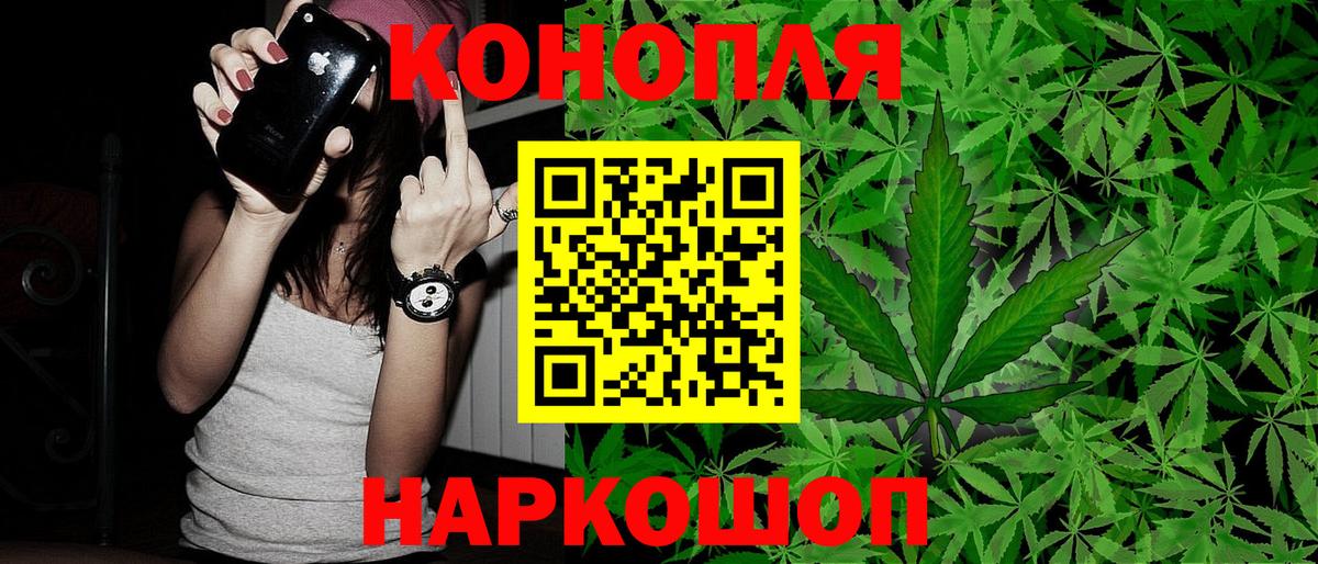Бошки Шишки MAZAR  Вход с VPN  Конопля семена  Вологда 